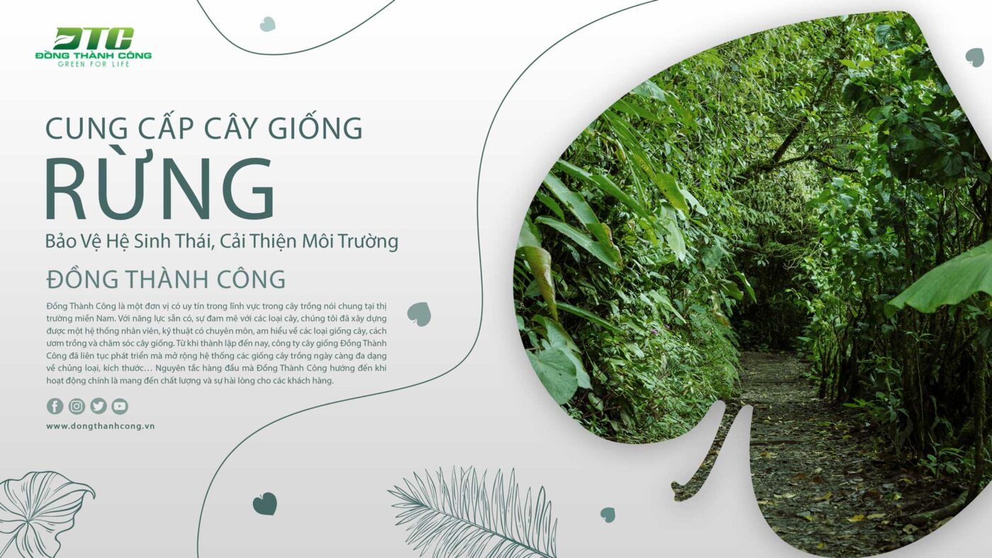 Công ty cây giống Đồng Thành Công uy tín chất lượng TOP #1 Miền Nam