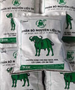 Phân bò xử lý 5K Cách sử dụng phân bò ủ hoai hiệu quả nhất