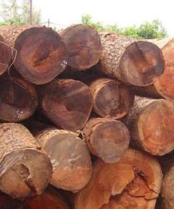 Cây gõ đỏ Ứng dụng cơ bản của cây gõ đỏ