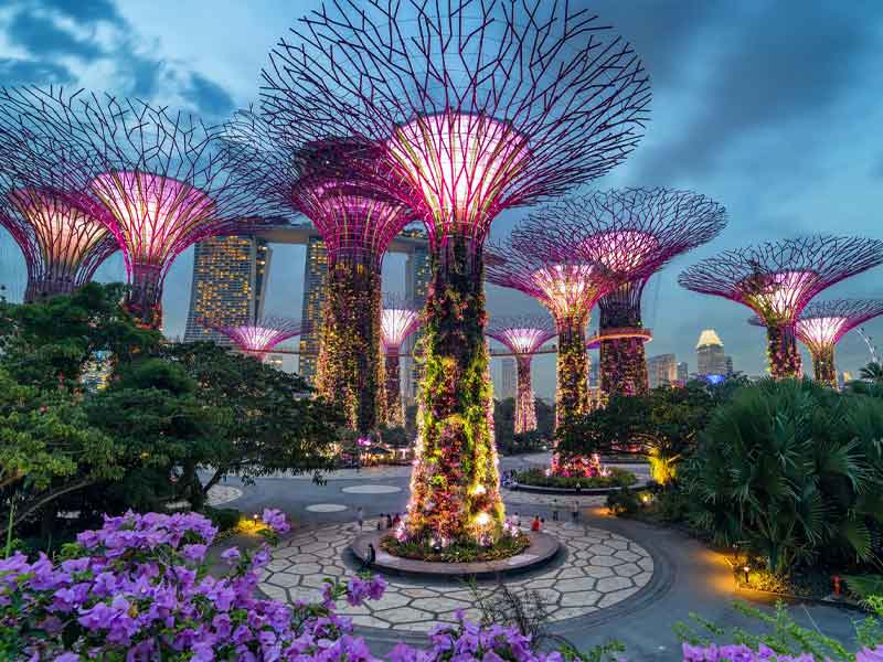Khu vườn Gardens by the Bay - Singapore
