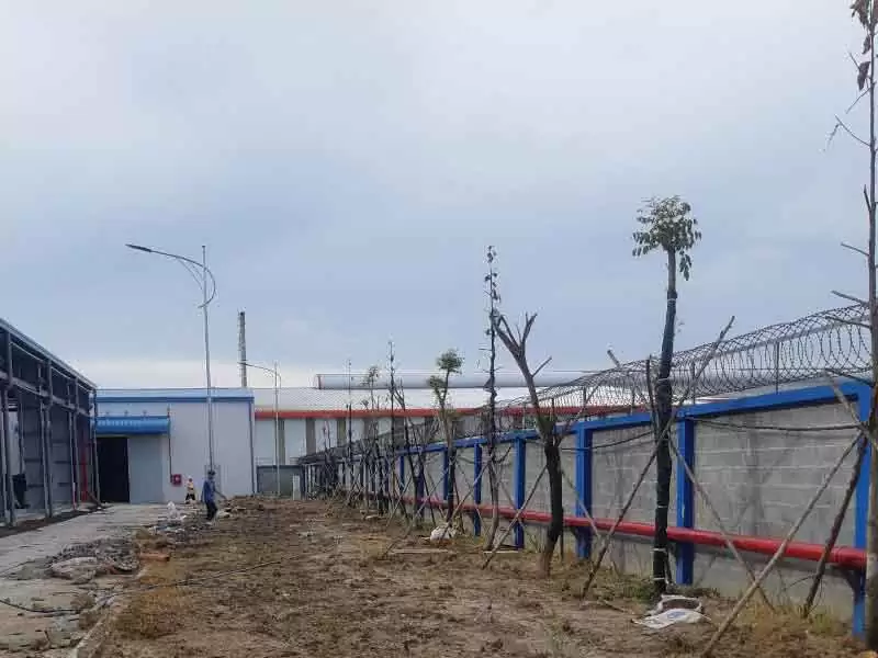 Cây Xanh Công Trình B2B Cảnh quan nhà máy