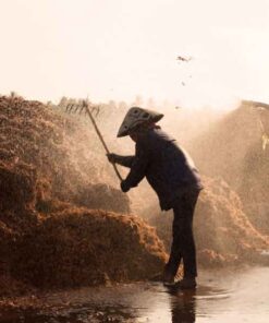 Xơ dừa đã qua xử lý Xơ dừa xử lý trồng lan