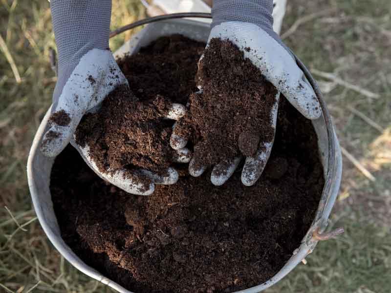 Phân bón có tác dụng gì đối với đất và cây trồng?