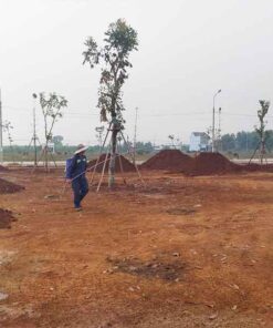 Đất đỏ dac diem dat do bazan