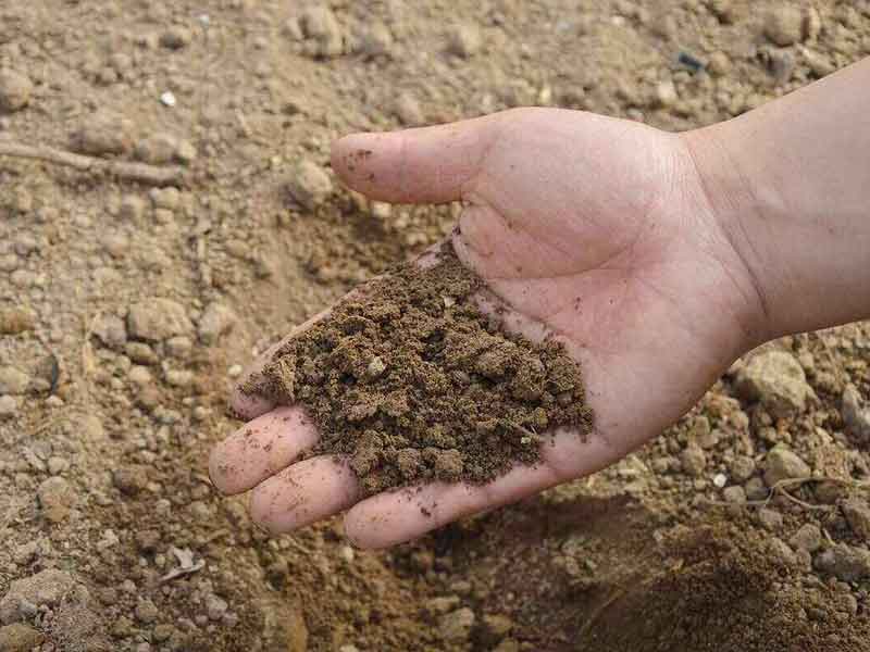 ưu điểm của các loại đất đối với cây trồng