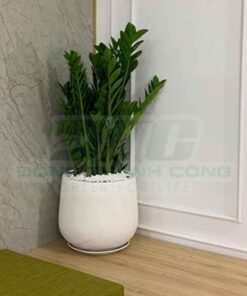 Chậu đá mài Remy ban chau da mai remy gia re