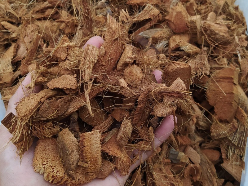 Công dụng vỏ dừa cắt miếng đối với cây trồng