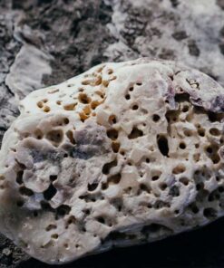 Đá pumice da pumice la gi