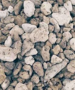 Đá pumice da pumice trong sen da