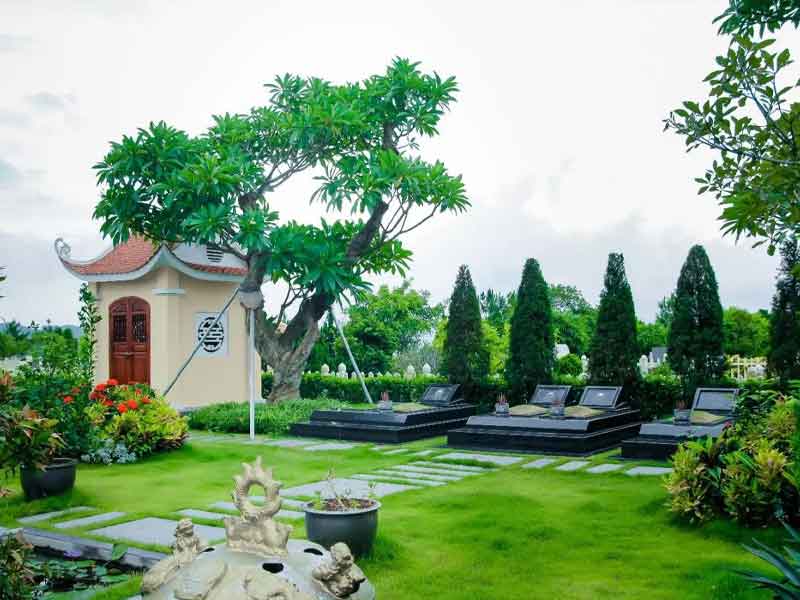 Lựa chọn loại cây thích hợp trồng trên mộ