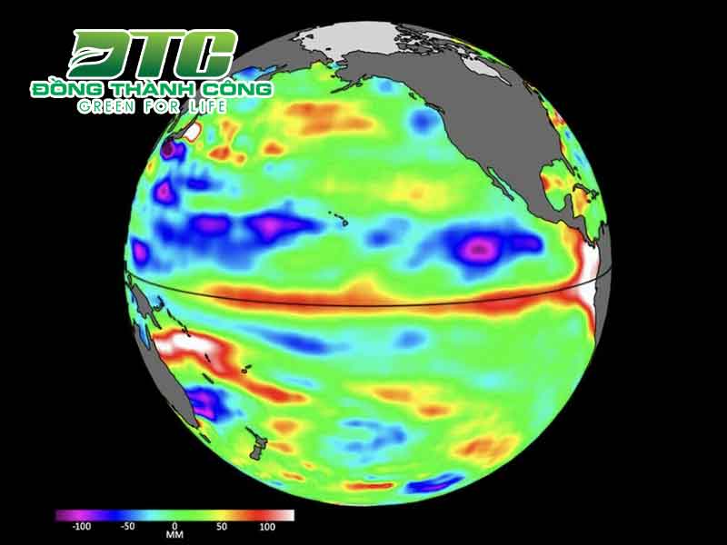 Hiện tượng El Nino là gì
