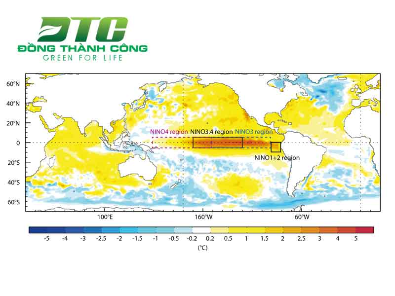 Tìm hiểu hiện tượng El Nino trên trái đất