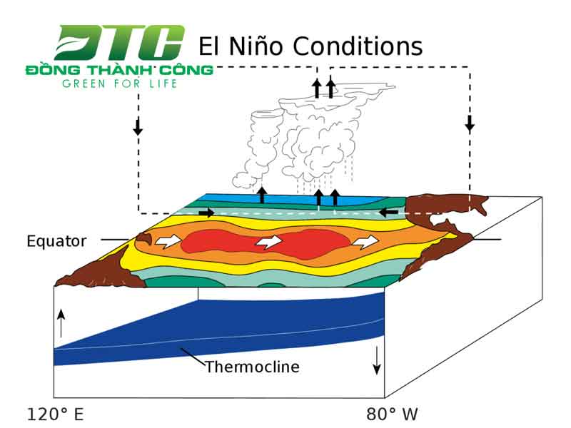 Diễn biến hiện tượng El Nino tại Việt Nam