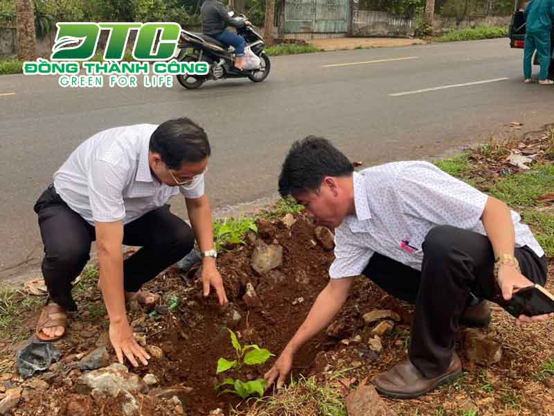 Cán bộ huyện trực tiếp trồng cây xanh