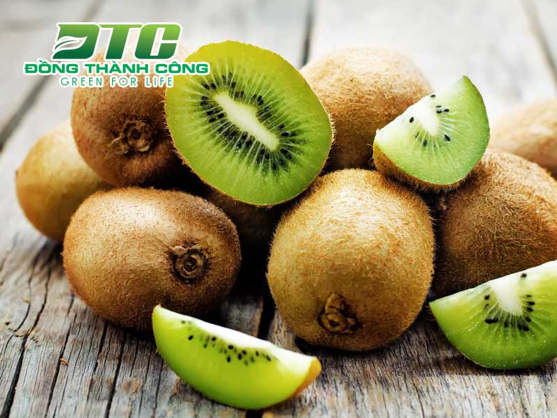 Kiwi loại trái cây mang lại giá trị cao