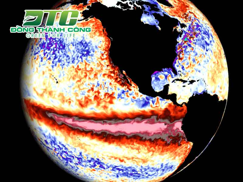 Những nguyên nhân thường thấy tạo nên El Nino