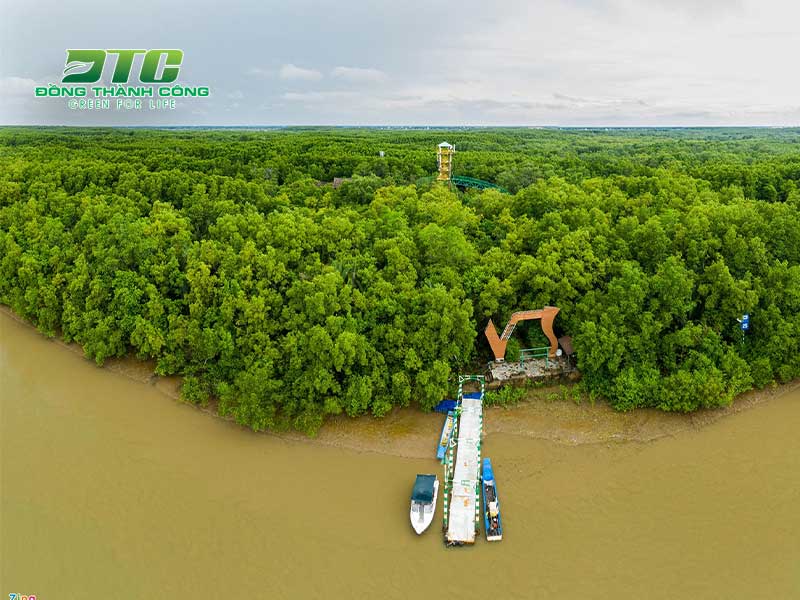 Hiện nay, diện tích rừng ngập mặn ở Việt Nam khá lớn