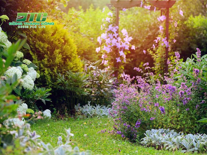 Đảm bảo mật độ cây trồng hợp lý trong sân vườn