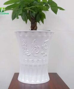 Chậu Nhựa Phúc Lộc Thọ chau nhua phuc loc tho