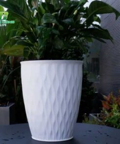 Chậu Nhựa Lưới Giả Sứ gioi thieu thong tin chung ve chau nhua luoi gia su