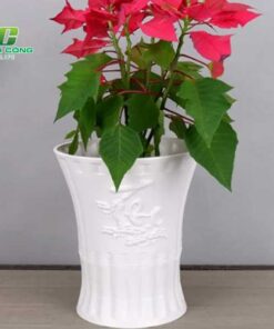 Chậu Nhựa Phúc Lộc Thọ tim hieu ve cac dac tinh uu diem cua chau nhua phuc loc tho