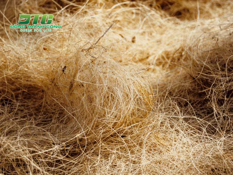 Xơ dừa là nguyên liệu được ứng dụng phổ biến trong canh tác nông nghiệp