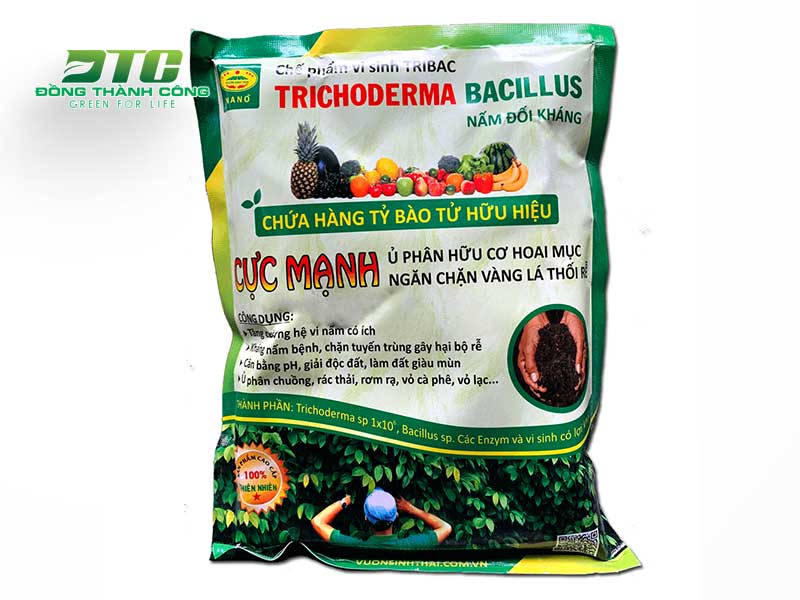 Nấm trichoderma là chế phẩm để ủ phân cá