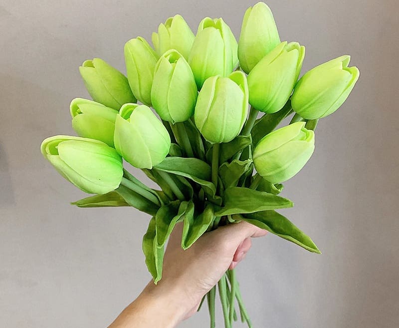 Tulip xanh mang ý nghĩa về những điều mới mẻ