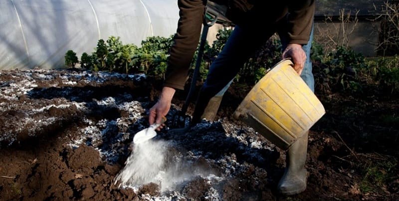 Cải tạo đất sét bằng vôi bột để đảm bảo thoát nước