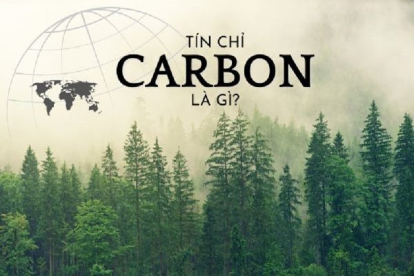 tin chi carbon