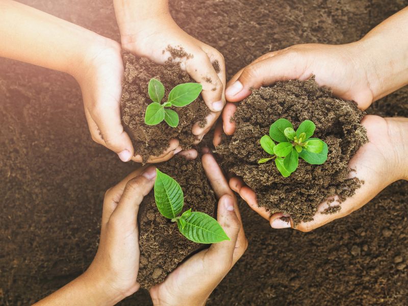 9+ Cách bảo vệ môi trường đơn giản và hiệu quả nhất cách bảo vệ môi trường