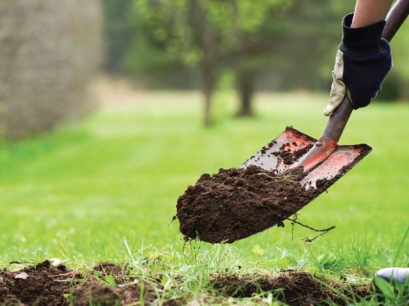 5+ Cách cải tạo đất trồng đơn giản, hiệu quả Cách cải tạo đất