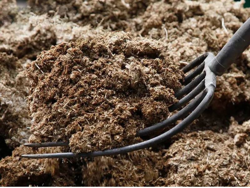 5+ Cách cải tạo đất trồng đơn giản, hiệu quả Cải tạo đất bạc màu bằng cày xới