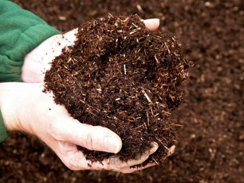 Gợi ý 5 cách giữ ẩm cho đất hiệu quả nhất bạn nên biết Dùng phân hữu cơ giữ ẩm cho đất