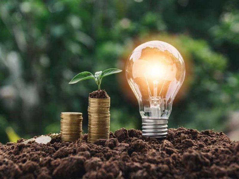 9+ Cách bảo vệ môi trường đơn giản và hiệu quả nhất Tiết kiệm điện