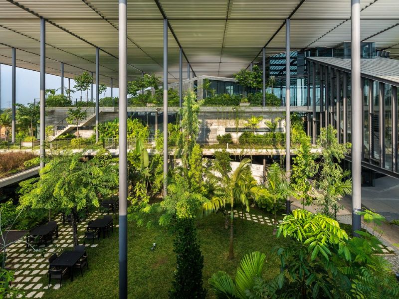 Giới thiệu các loại cây trồng trong khu công nghiệp phổ biến nhất trồng cây xanh trong các khu công nghiệp